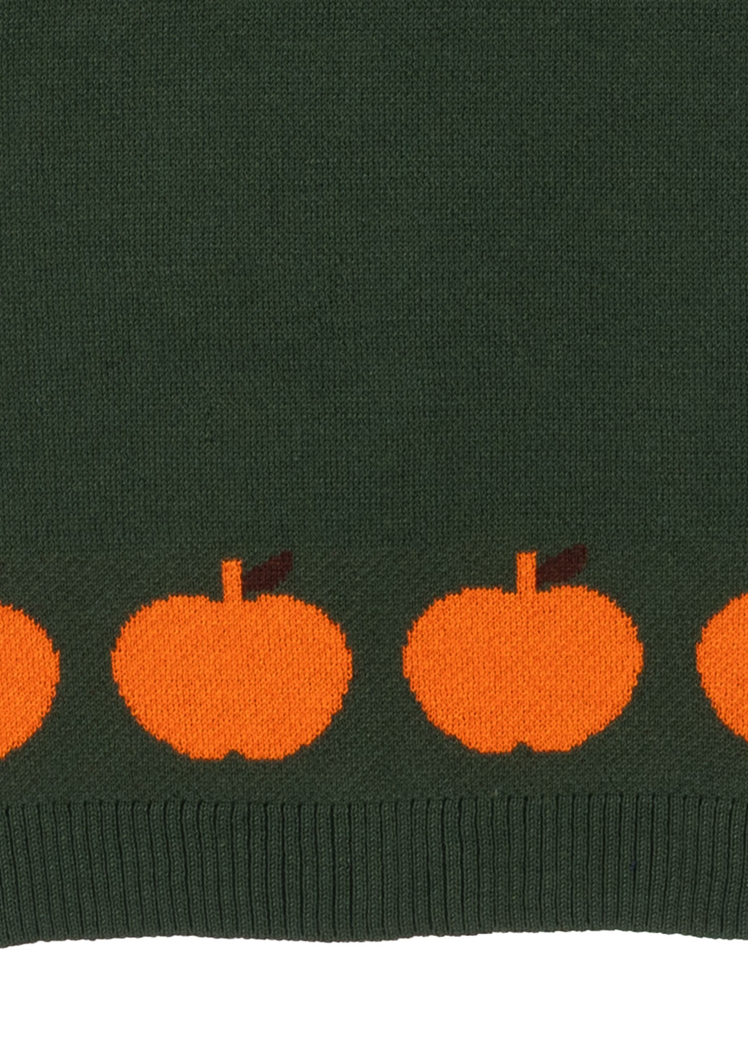 Apple Garden Elma Desenli Unisex Triko Yelek