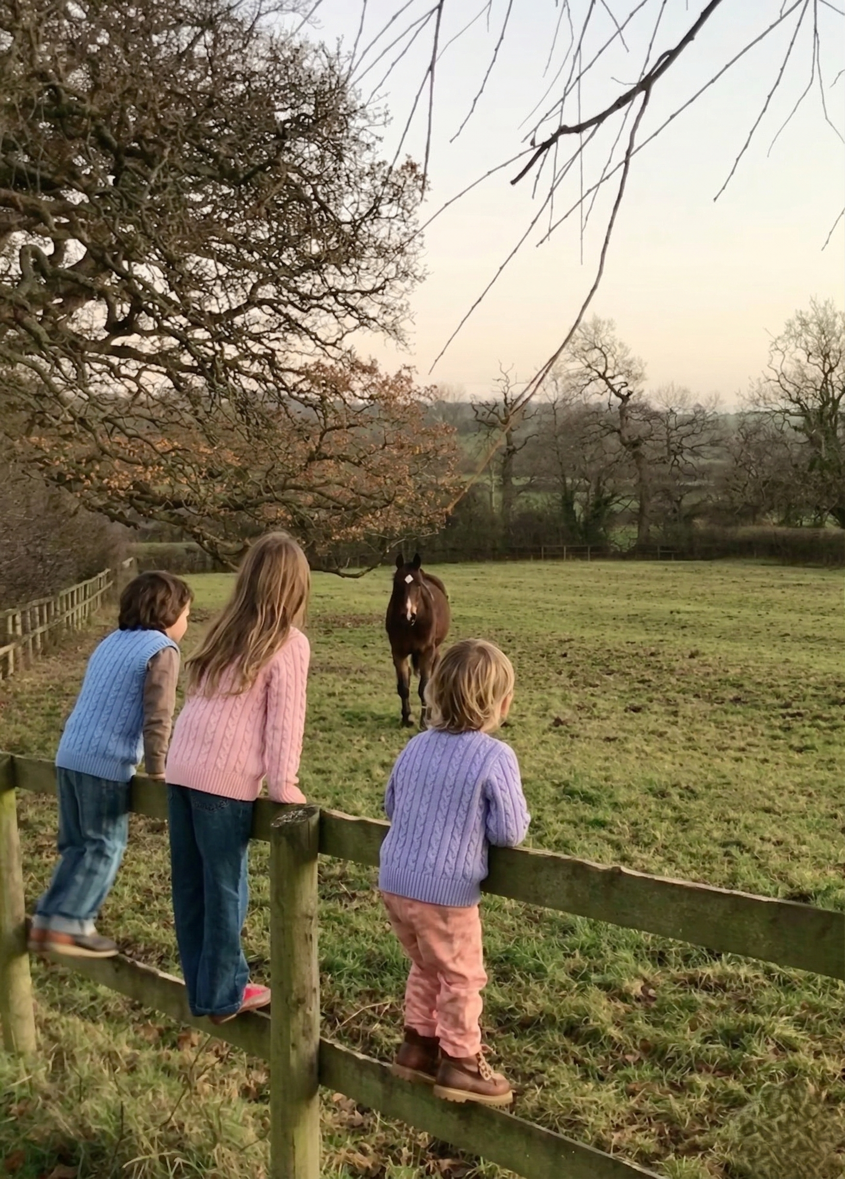 Wooly Saçörgülü Triko Kazak